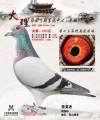 图片暂时未上传