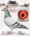 图片暂时未上传