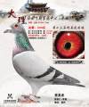 图片暂时未上传