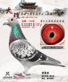 图片暂时未上传