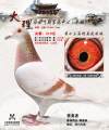 图片暂时未上传