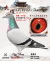 图片暂时未上传
