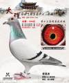 图片暂时未上传