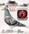 图片暂时未上传
