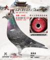 图片暂时未上传