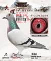 图片暂时未上传