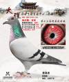 图片暂时未上传