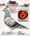 图片暂时未上传