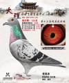 图片暂时未上传