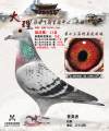 图片暂时未上传