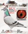 图片暂时未上传