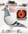 图片暂时未上传