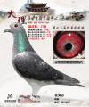 图片暂时未上传