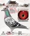 图片暂时未上传