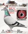图片暂时未上传