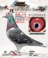 图片暂时未上传