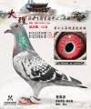 图片暂时未上传