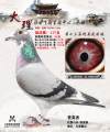 图片暂时未上传