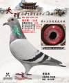 图片暂时未上传