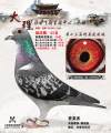 图片暂时未上传