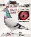 图片暂时未上传