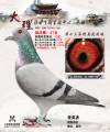 图片暂时未上传