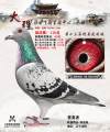 图片暂时未上传