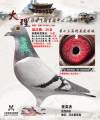 图片暂时未上传