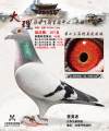 图片暂时未上传