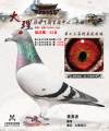 图片暂时未上传