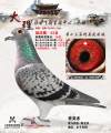 图片暂时未上传