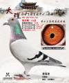 图片暂时未上传