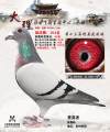 图片暂时未上传