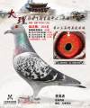 图片暂时未上传