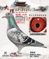 图片暂时未上传