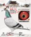 图片暂时未上传