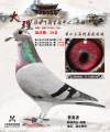 图片暂时未上传