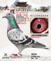 图片暂时未上传