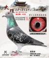 图片暂时未上传