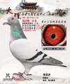 图片暂时未上传