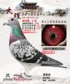 图片暂时未上传
