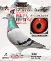 图片暂时未上传