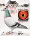 图片暂时未上传