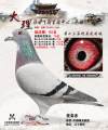 图片暂时未上传