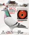 图片暂时未上传