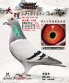 图片暂时未上传