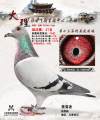 图片暂时未上传