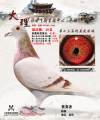 图片暂时未上传