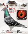 图片暂时未上传