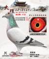 图片暂时未上传